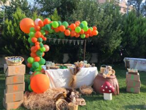 doğum günü organizasyonu