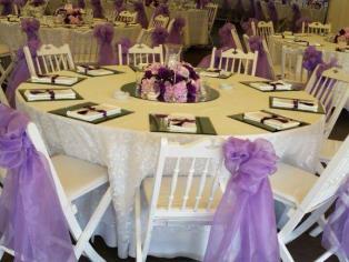 organizasyon resimleri232